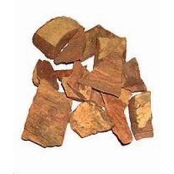 Terminalia arjuna Terminalia arjuna